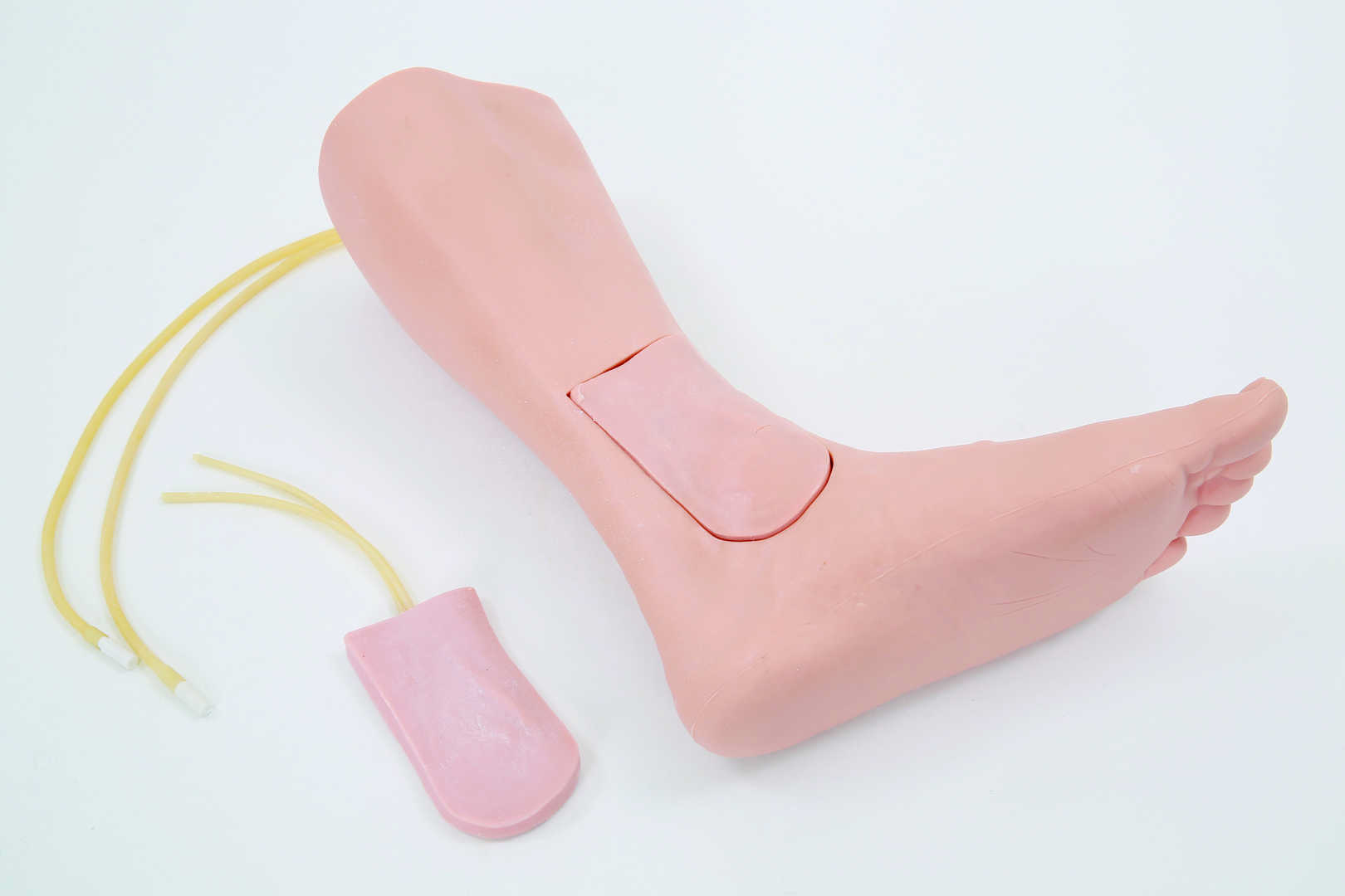 Great Saphenous Vein Catheterization Trainer