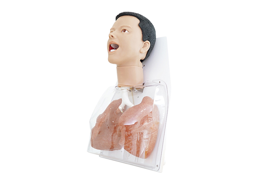 支氣管內鏡訓練平臺2.0