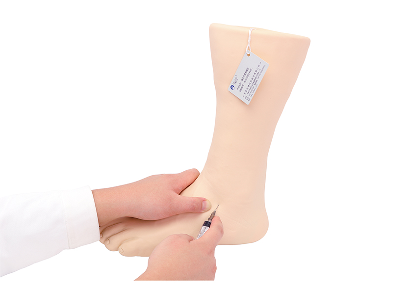 踝關(guān)節穿刺模型