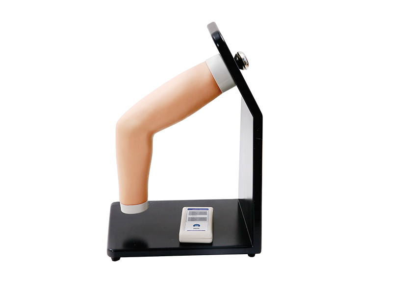 肘關(guān)節腔內注射模型