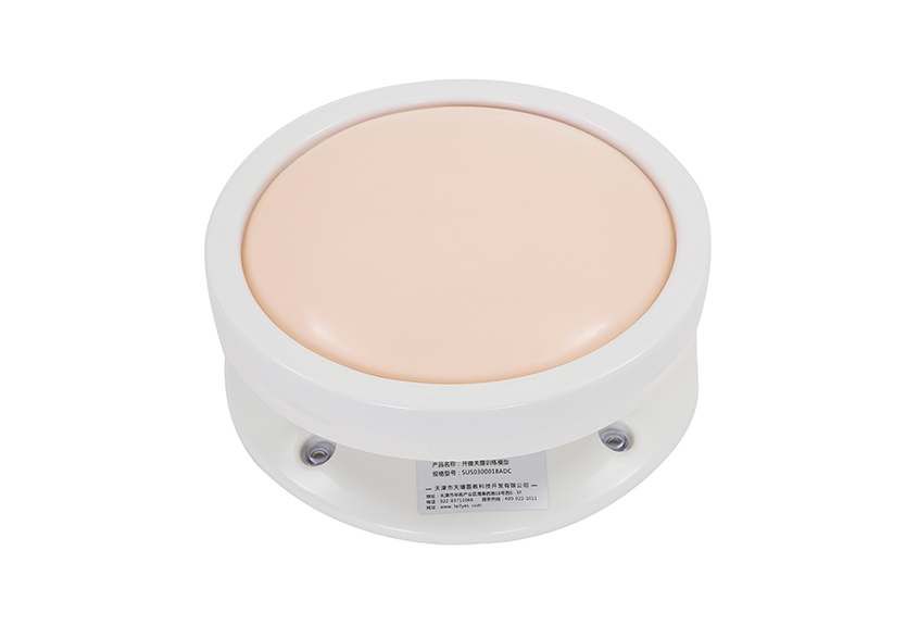 開(kāi)腹關(guān)腹訓練模型