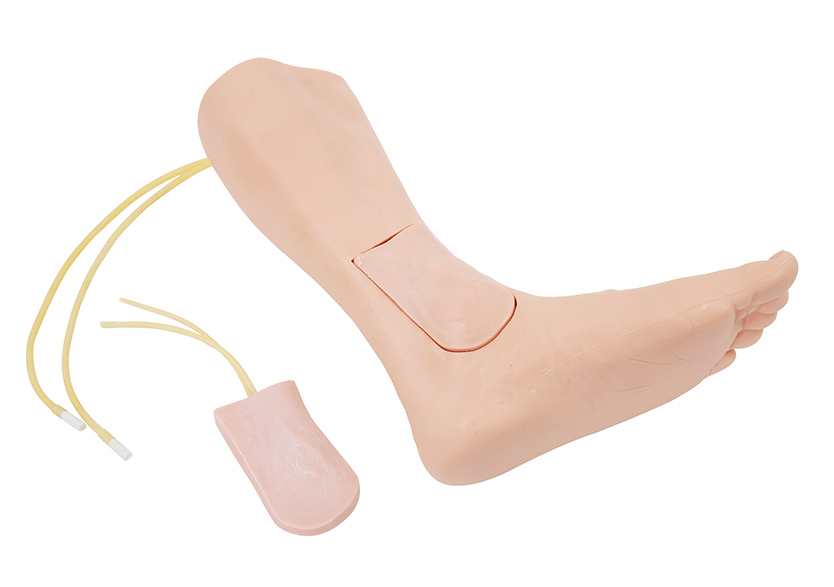 大隱靜脈切開(kāi)置管訓練模型