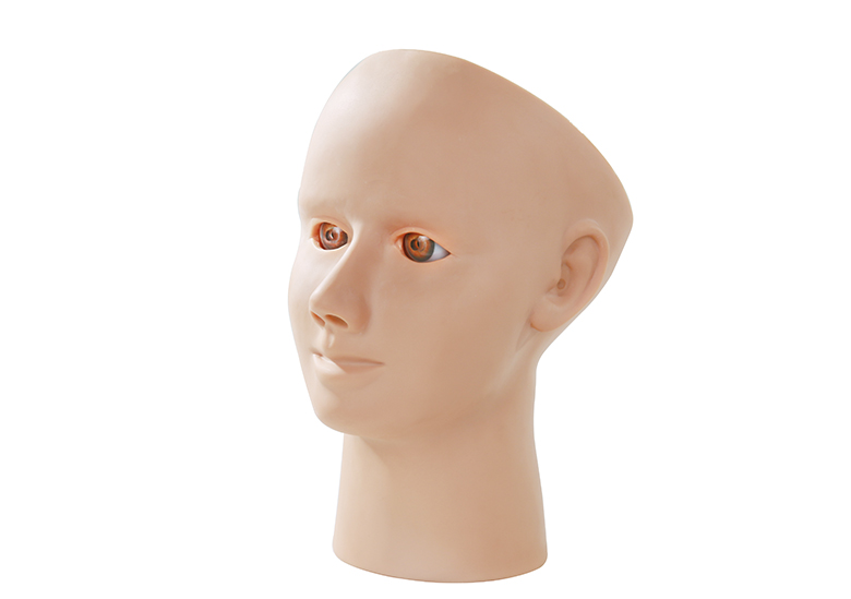 眼視網(wǎng)膜病變檢查訓練模型