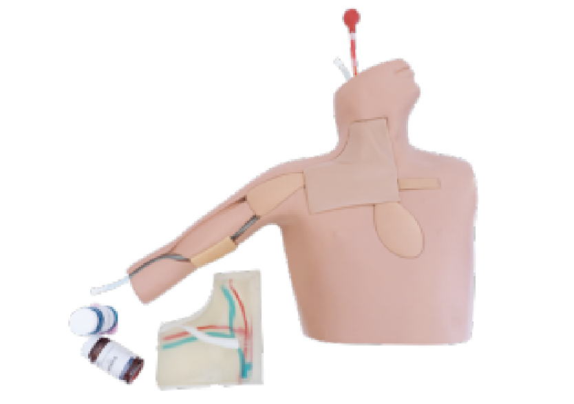 中心靜脈置管術(shù)訓練平臺 2.0