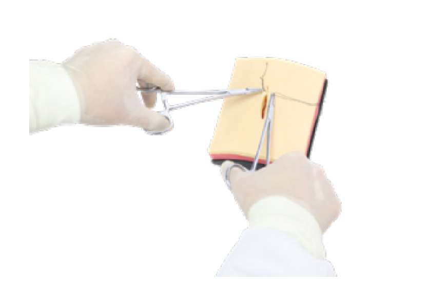 縫合練習平臺 2.0