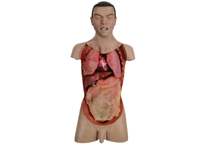 胸腹部損傷控制手術(shù)模擬人系統3.0